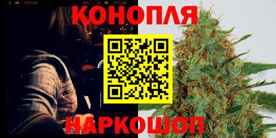сатива Будённовск